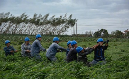 粤桂黔等地逾万人支援海南抢修复电