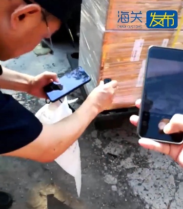 入境集装箱内发现缅甸蟒蛇！海关联系消防协助抓捕，移交野生动物收容机构