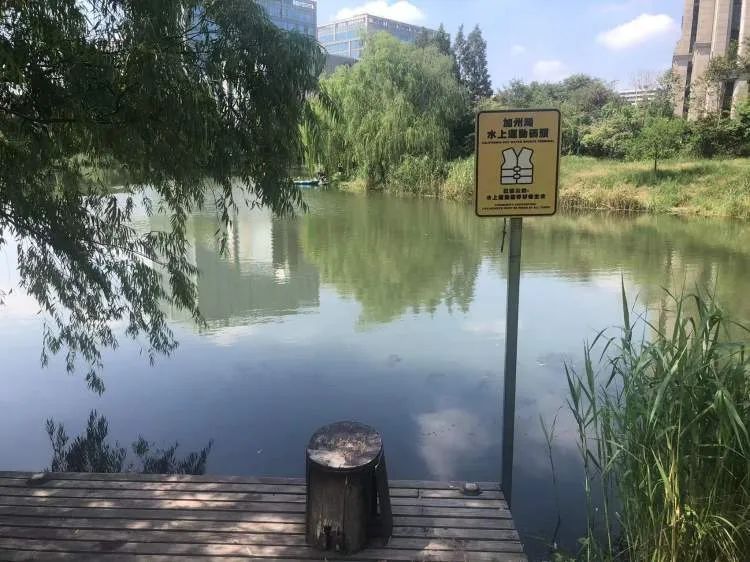 你们停车难?这里停船难!居民在上海这个小区河道“野划”玩嗨 你们停车难?这里停船难!居民在上海这个小区河道“野划”玩嗨