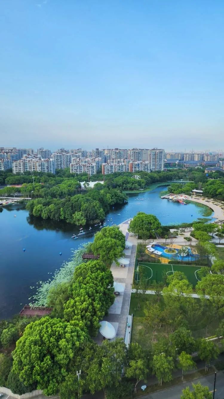 你们停车难?这里停船难!居民在上海这个小区河道“野划”玩嗨 你们停车难?这里停船难!居民在上海这个小区河道“野划”玩嗨