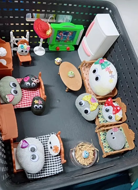 你敢信？有人养石头当宠物！暴增246%！有店主月入过万……