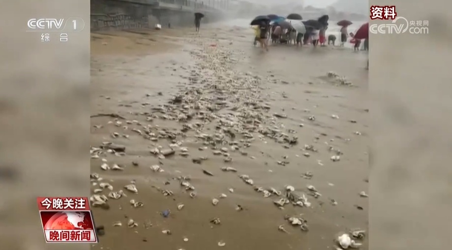 台风过后 这些需注意