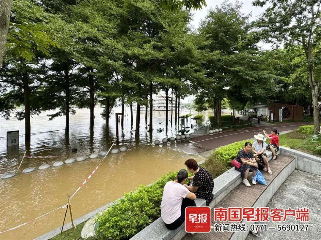 南宁多个河段将出现超警洪水！