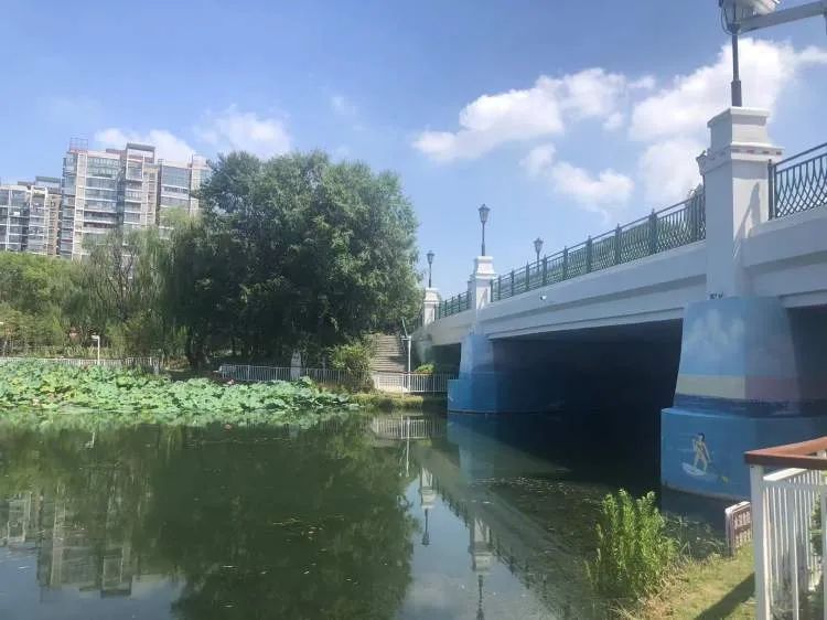 你们停车难?这里停船难!居民在上海这个小区河道“野划”玩嗨 你们停车难?这里停船难!居民在上海这个小区河道“野划”玩嗨