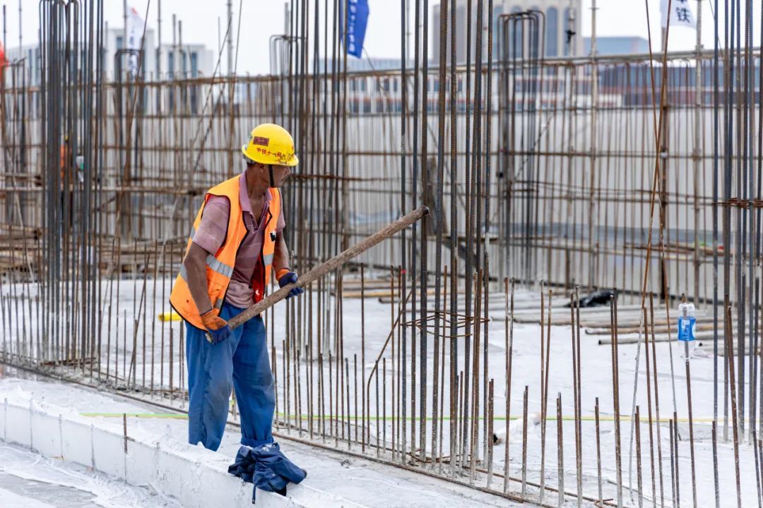 最新披露！上海这个铁路枢纽站、两座示范区线车站建设迎来新进展→