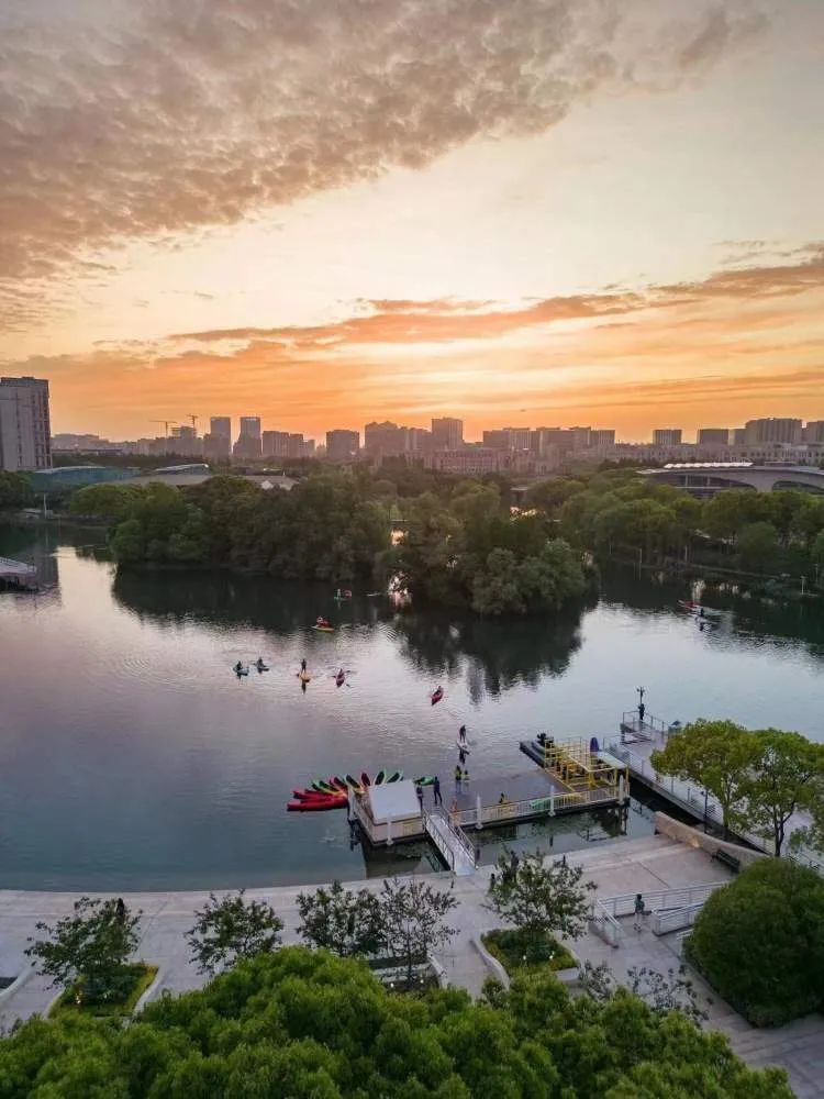 你们停车难?这里停船难!居民在上海这个小区河道“野划”玩嗨 你们停车难?这里停船难!居民在上海这个小区河道“野划”玩嗨