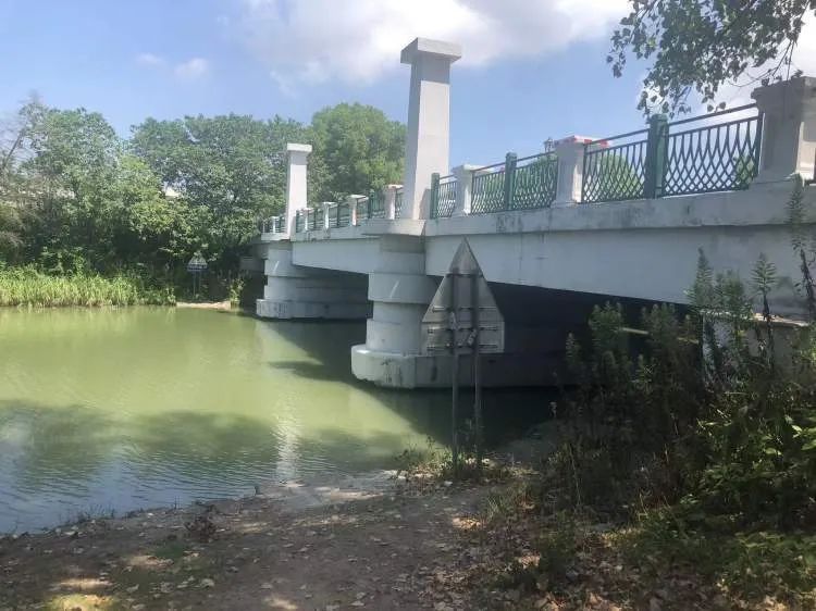 你们停车难?这里停船难!居民在上海这个小区河道“野划”玩嗨 你们停车难?这里停船难!居民在上海这个小区河道“野划”玩嗨