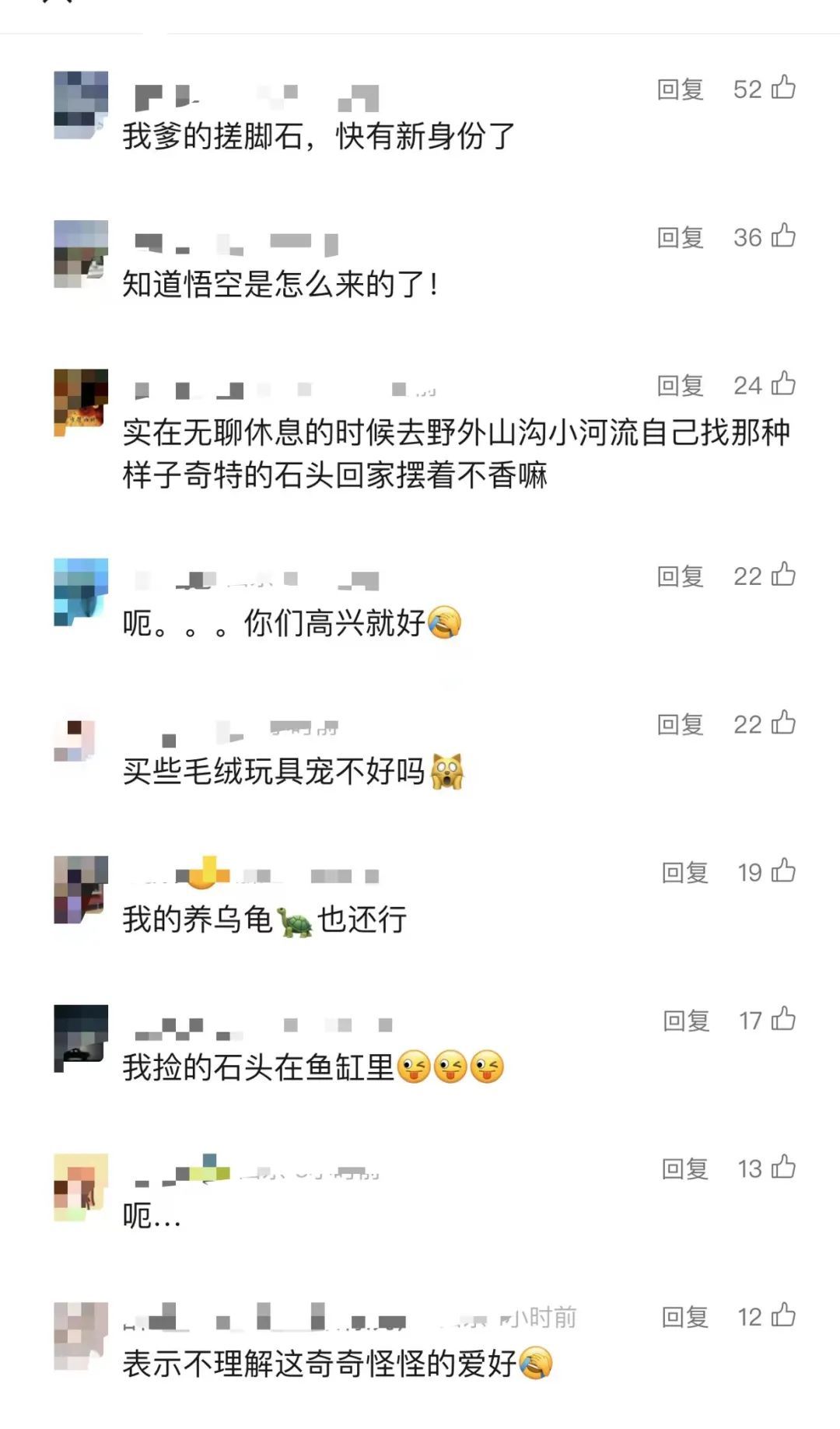 你敢信？有人养石头当宠物！暴增246%！有店主月入过万……