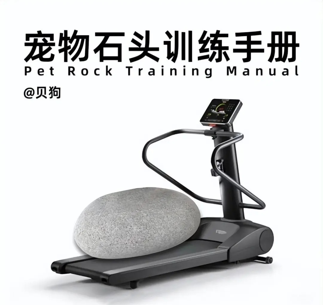 你敢信？有人养石头当宠物！暴增246%！有店主月入过万……