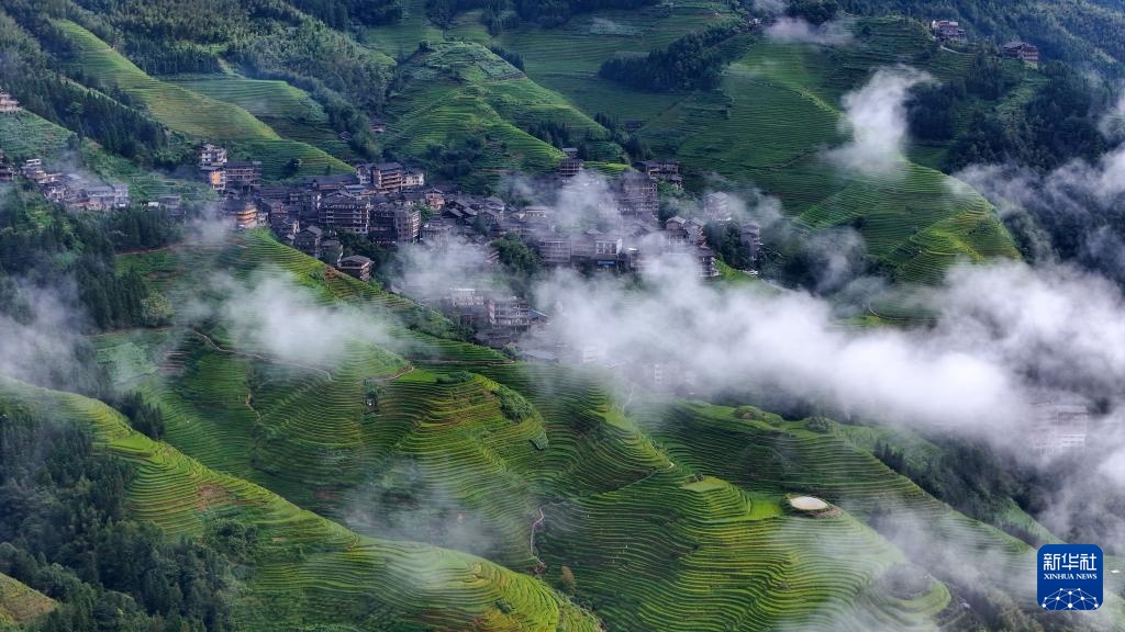 广西龙胜：秋日龙脊梯田景如画