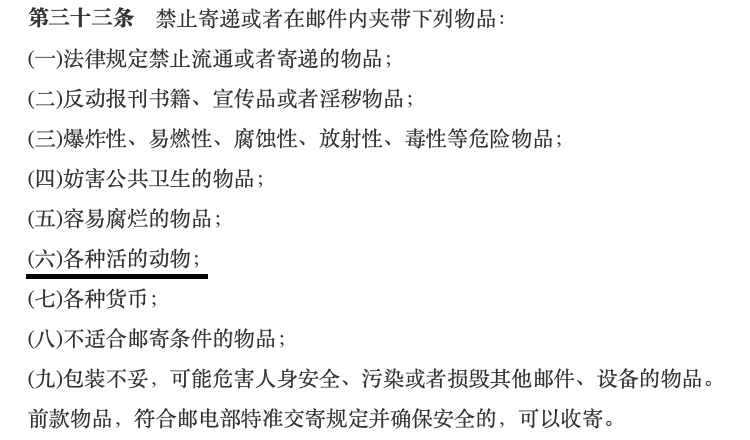 网上买宠物，注意这些“坑”