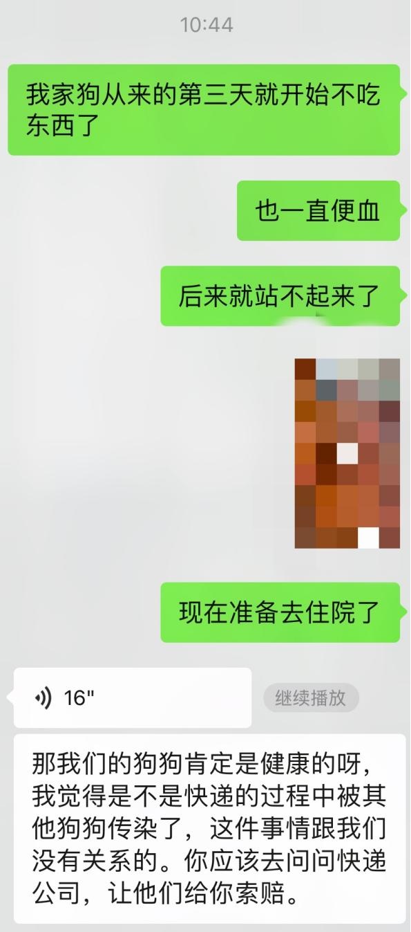 网上买宠物，注意这些“坑”