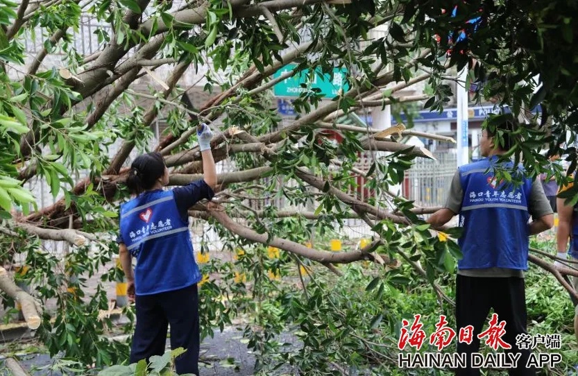 海南1万多名青年志愿者投身灾后重建