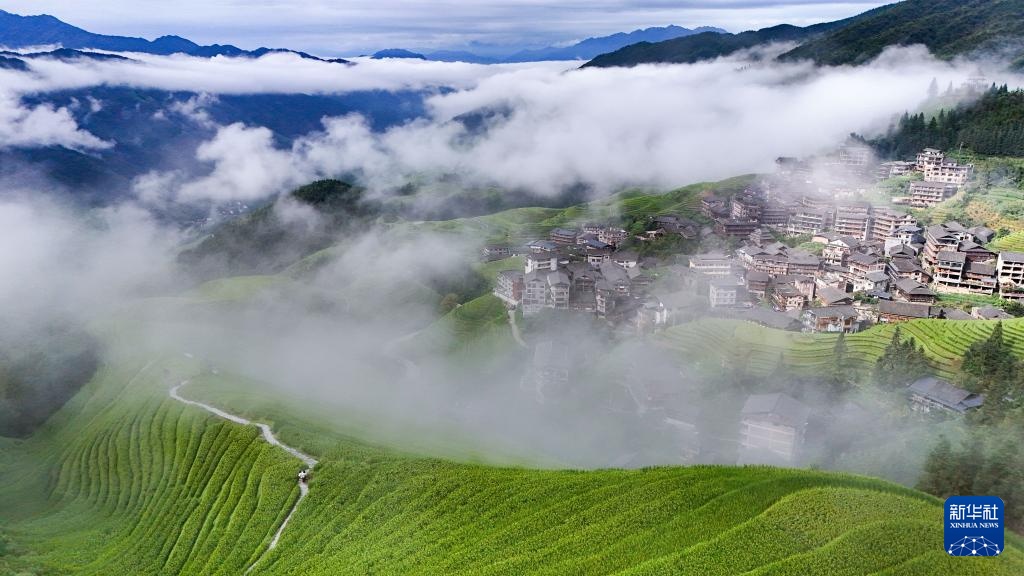 广西龙胜：秋日龙脊梯田景如画