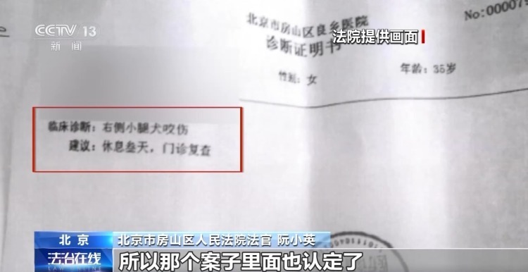 狗咬伤人,人又踢了狗,究竟该谁来担责? 狗咬伤人,人又踢了狗,究竟该谁来担责?