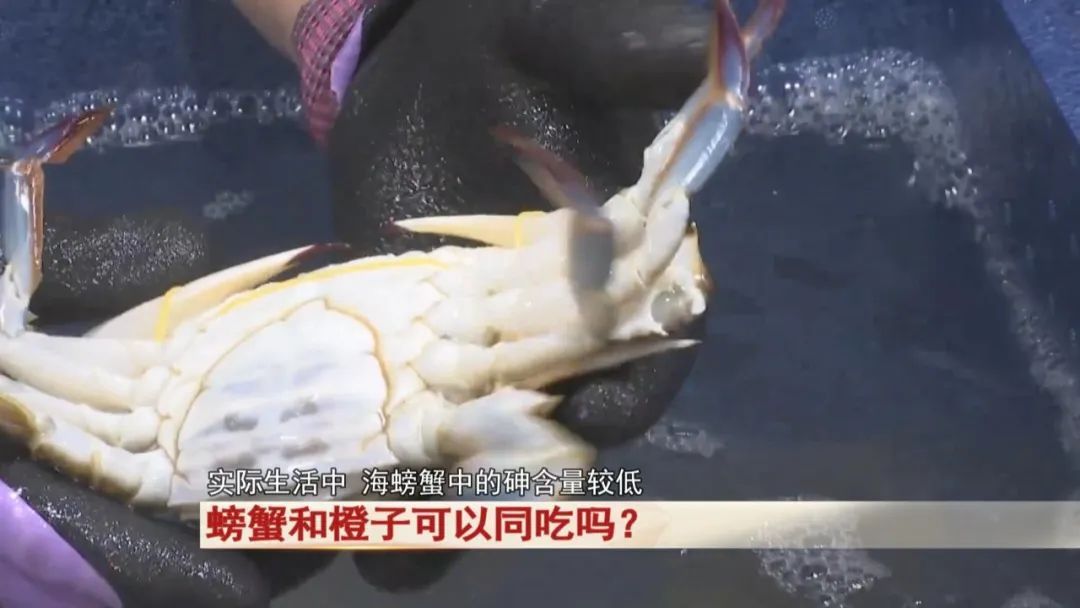 螃蟹和橙子同吃等于砒霜?医生提醒... 螃蟹和橙子同吃等于砒霜?医生提醒...