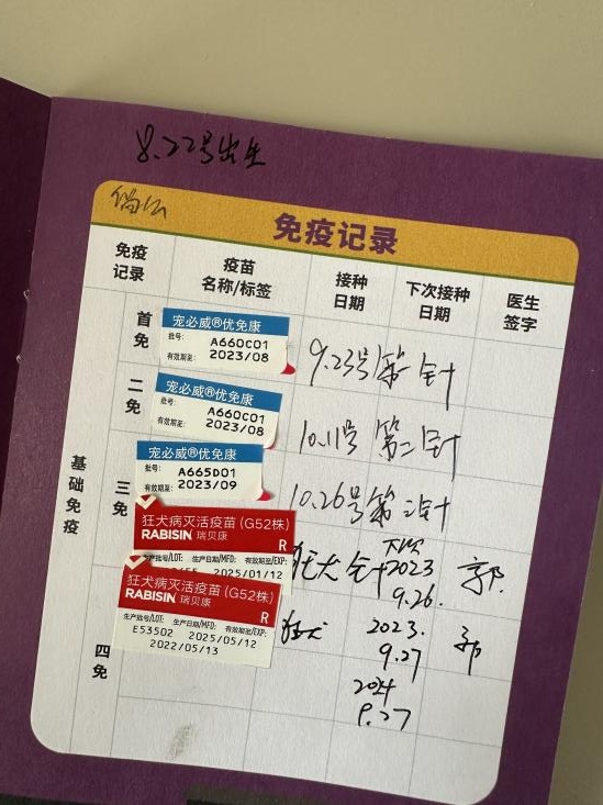 网上买宠物，注意这些“坑”