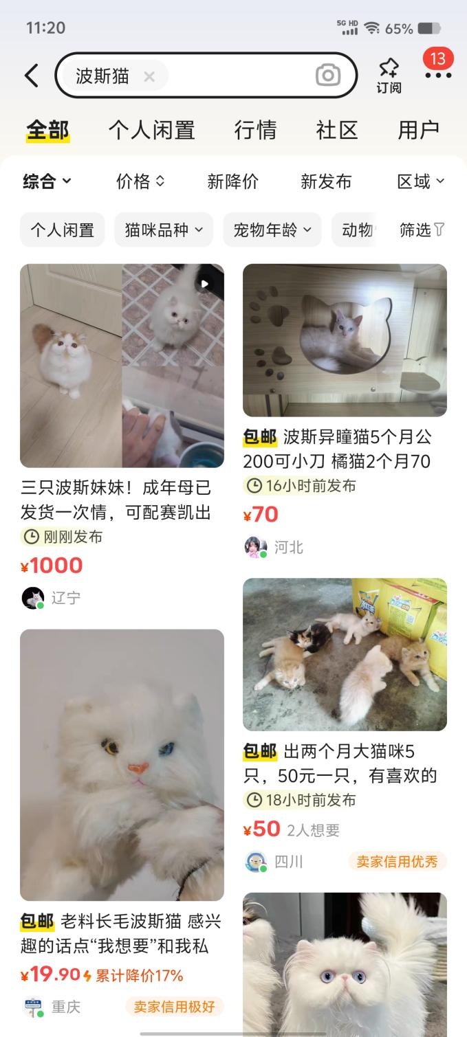 网上买宠物，注意这些“坑”