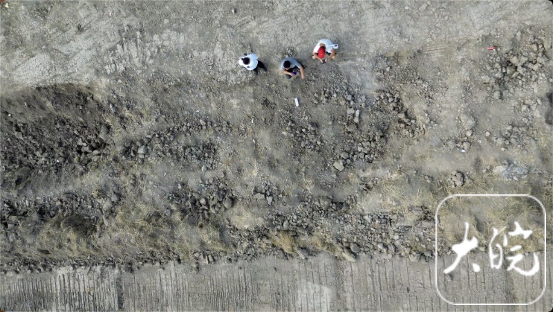 安徽霍邱县一农田发现大量唐宋钱币,记者探访挖掘现场 安徽霍邱县一农田发现大量唐宋钱币,记者探访挖掘现场