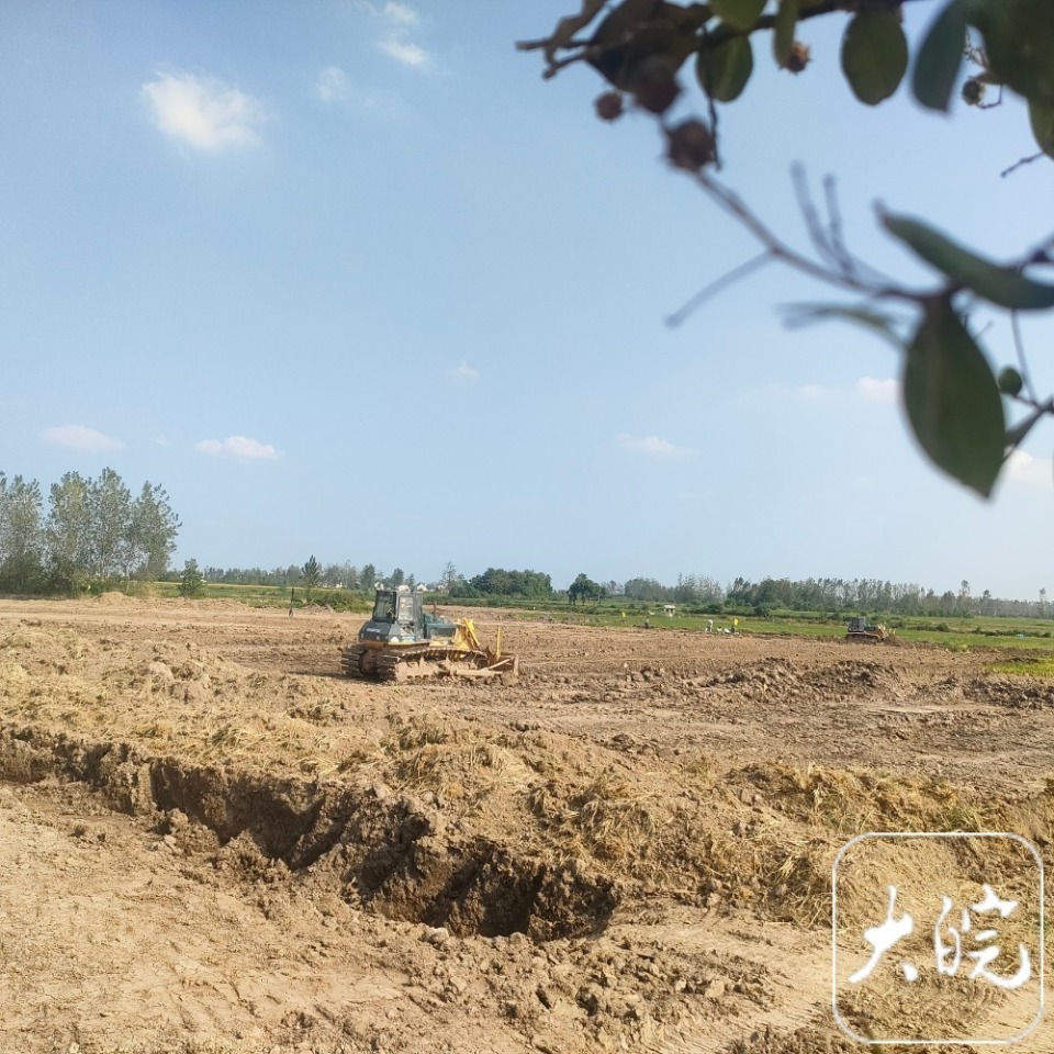 安徽霍邱县一农田发现大量唐宋钱币,记者探访挖掘现场 安徽霍邱县一农田发现大量唐宋钱币,记者探访挖掘现场