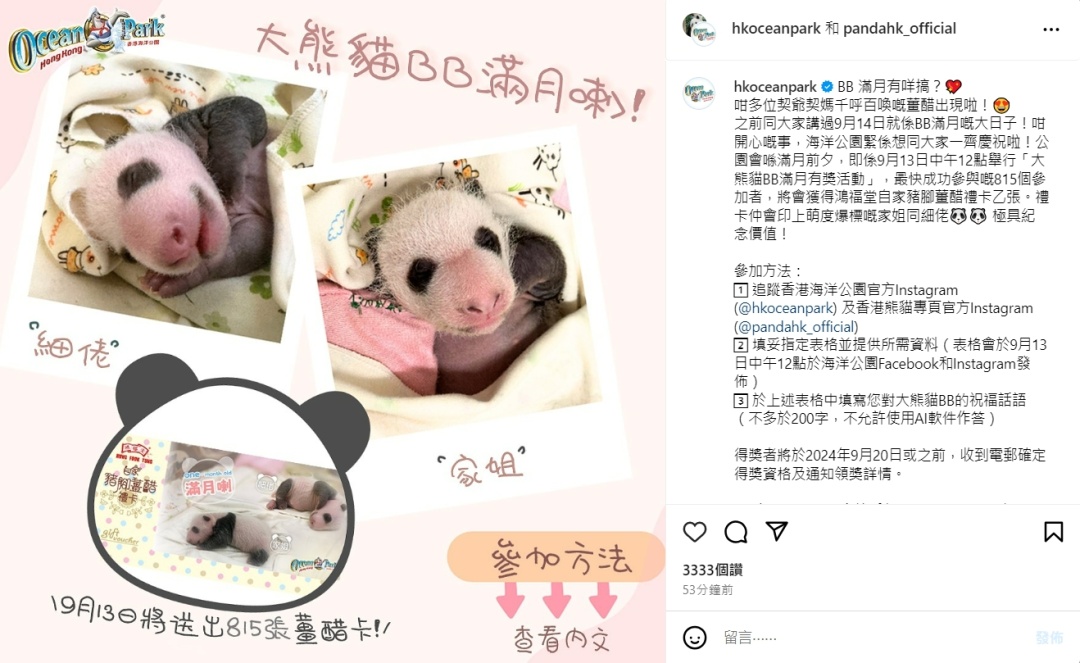 熊猫宝宝即将满月，香港海洋公园决定这样做
