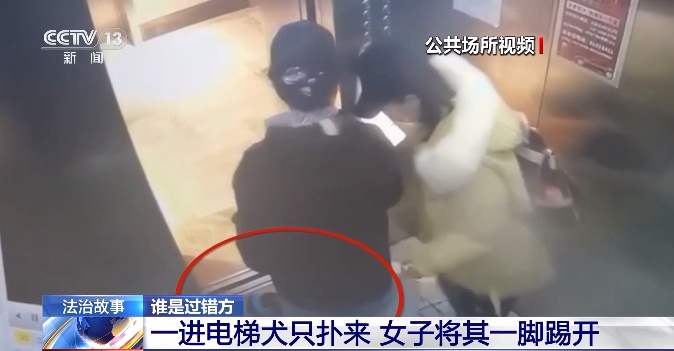 狗咬人被踢伤,狗主人索赔6万元!法院判了 狗咬人被踢伤,狗主人索赔6万元!法院判了