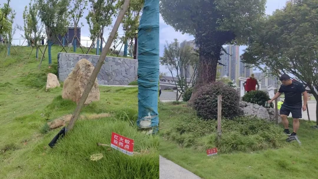 别踢！别碰！严重可致命！@江西人，见到这种“小土堆”请远离→