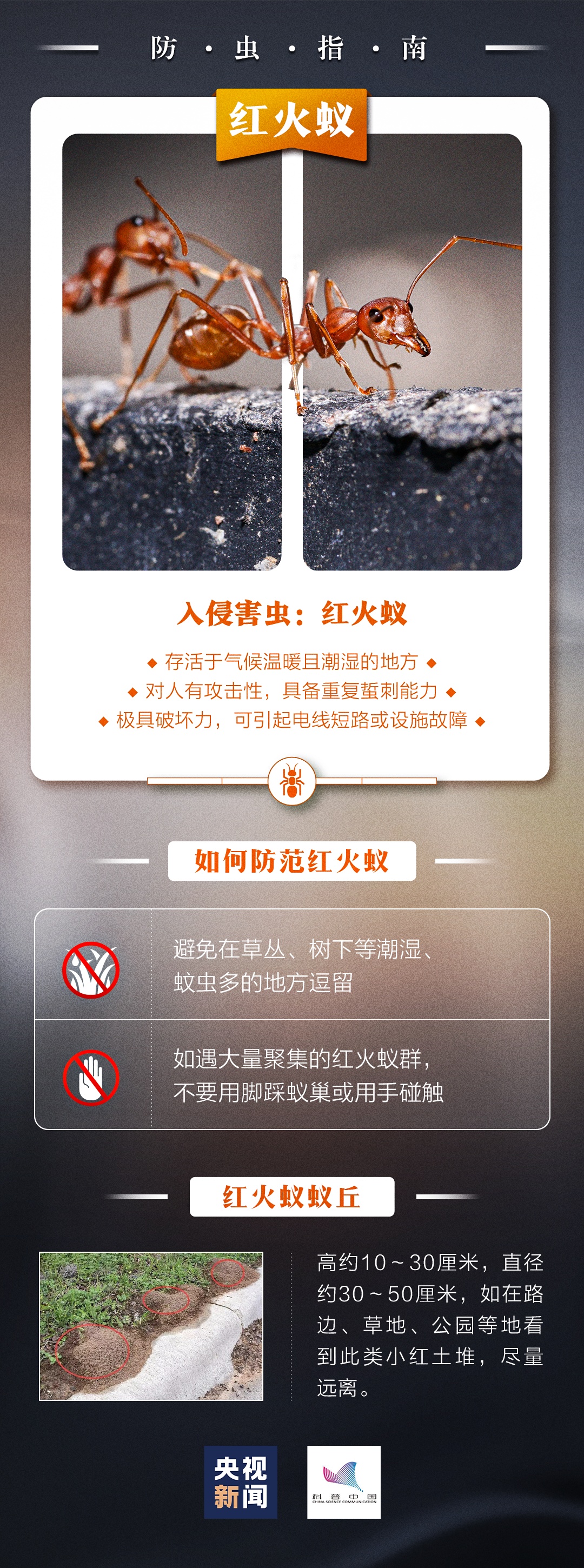 别踢！别碰！严重可致命！@江西人，见到这种“小土堆”请远离→