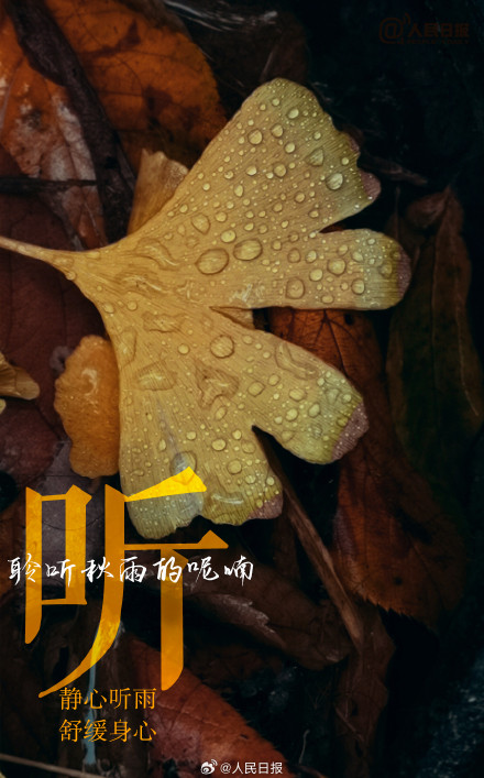 不负时光！秋天有仪式感的9件小事