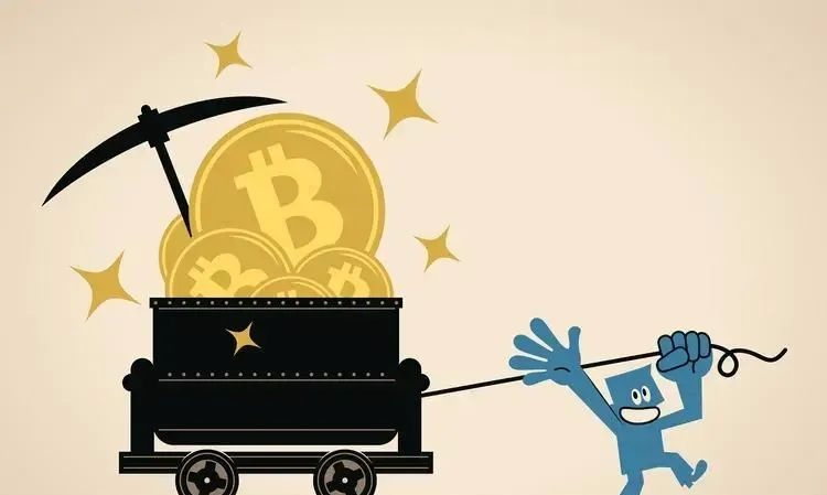 “黑客”团伙落网！“00后”头目自述→