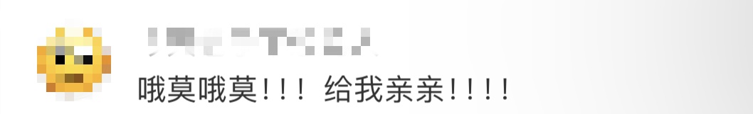 熊猫宝宝即将满月，香港海洋公园决定这样做