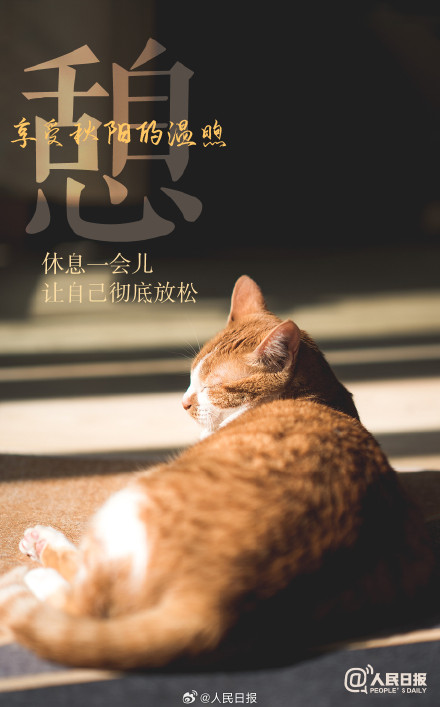 不负时光！秋天有仪式感的9件小事