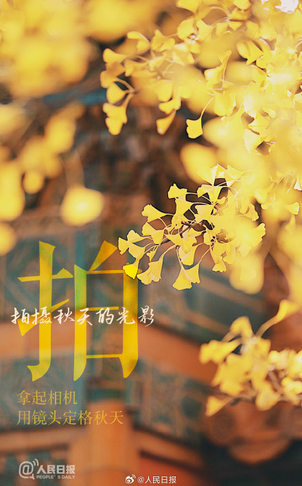 不负时光！秋天有仪式感的9件小事