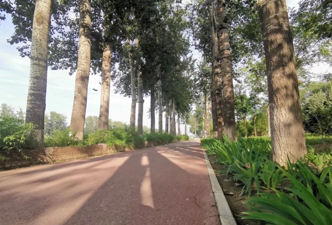 北京宝藏骑行路线推荐！这些地方太美了！