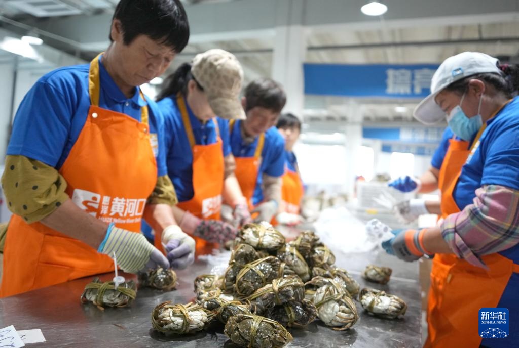 山东东营：大闸蟹进入捕捞销售旺季