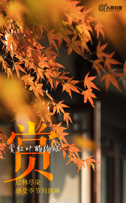 不负时光！秋天有仪式感的9件小事