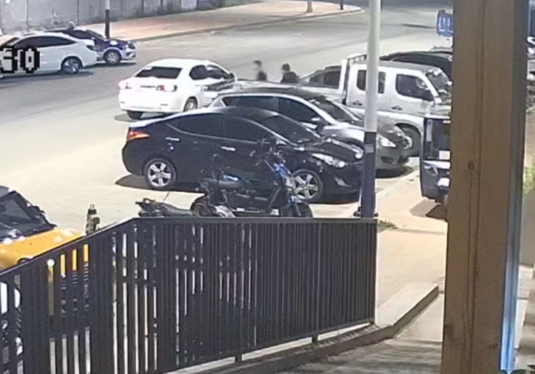 三人组团“拉车门”盗窃 警方全部抓获