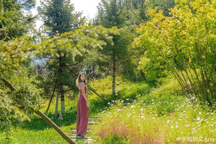 闪现九寨沟!郑钦文晒和父母游玩美照 闪现九寨沟!郑钦文晒和父母游玩美照