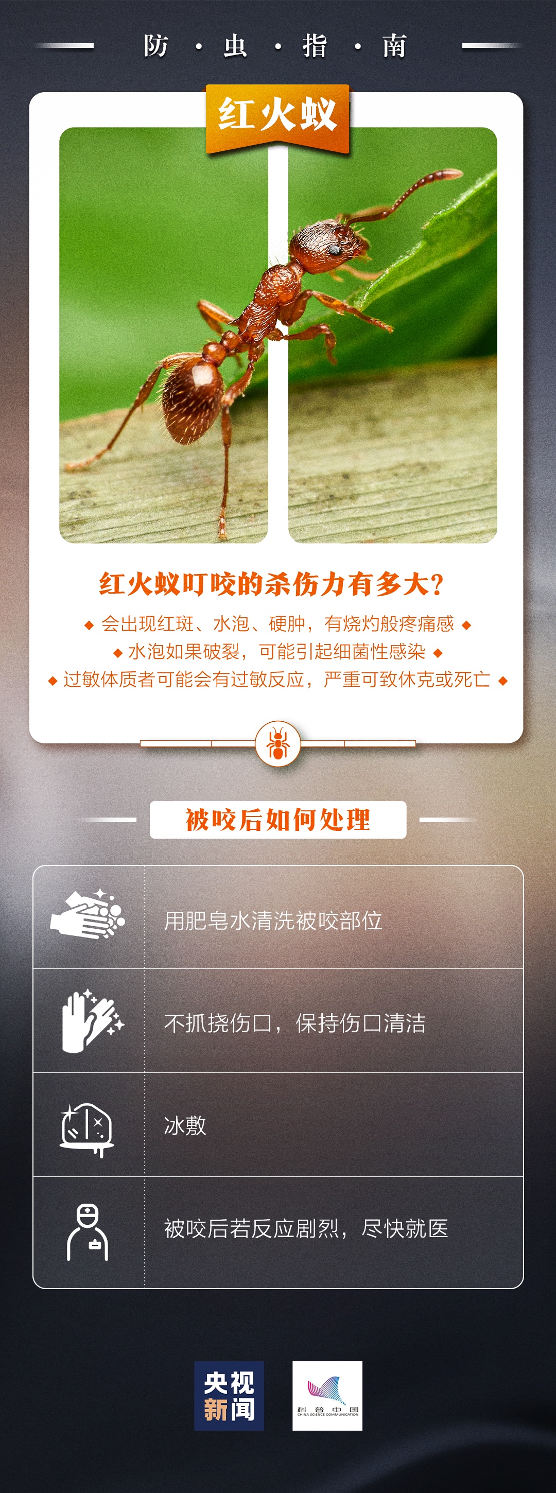 别踢！别碰！严重可致命！@江西人，见到这种“小土堆”请远离→