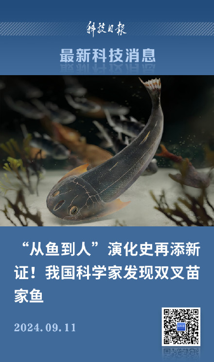 从鱼到人演化史再添新证！我国科学家发现双叉苗家鱼