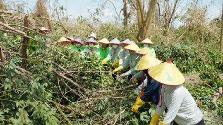 海南热带野生动植物园遭台风重创需帮助？海口旅文局：昨天组织90多人去现场