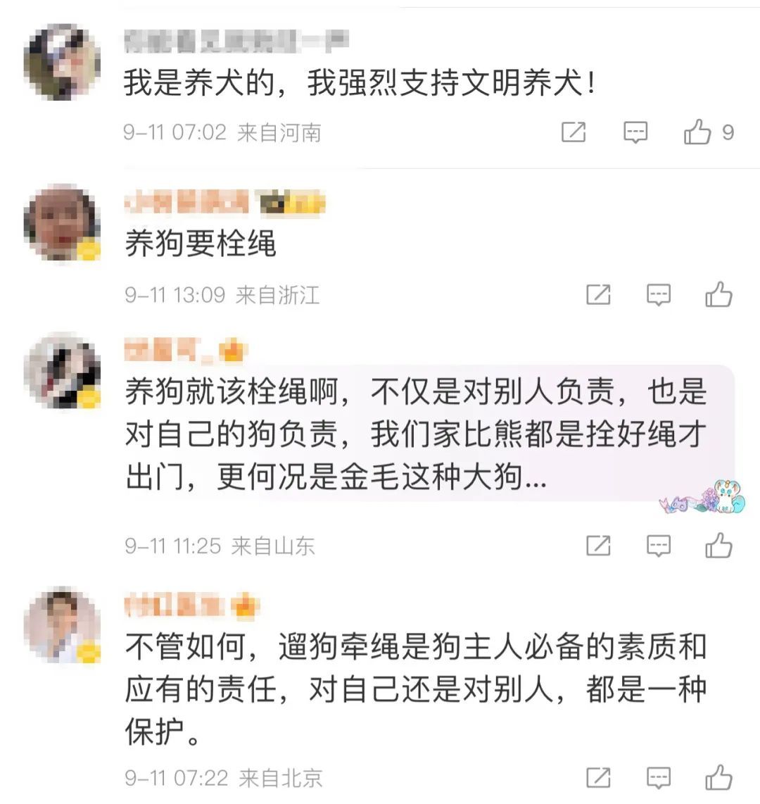 金毛扑向孕妇致其受惊吓流产！网友：犬主的回应太冷漠！
