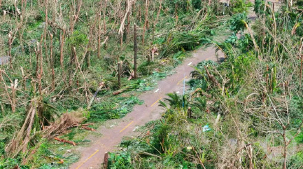海南热带野生动植物园遭台风重创需帮助？海口旅文局：昨天组织90多人去现场