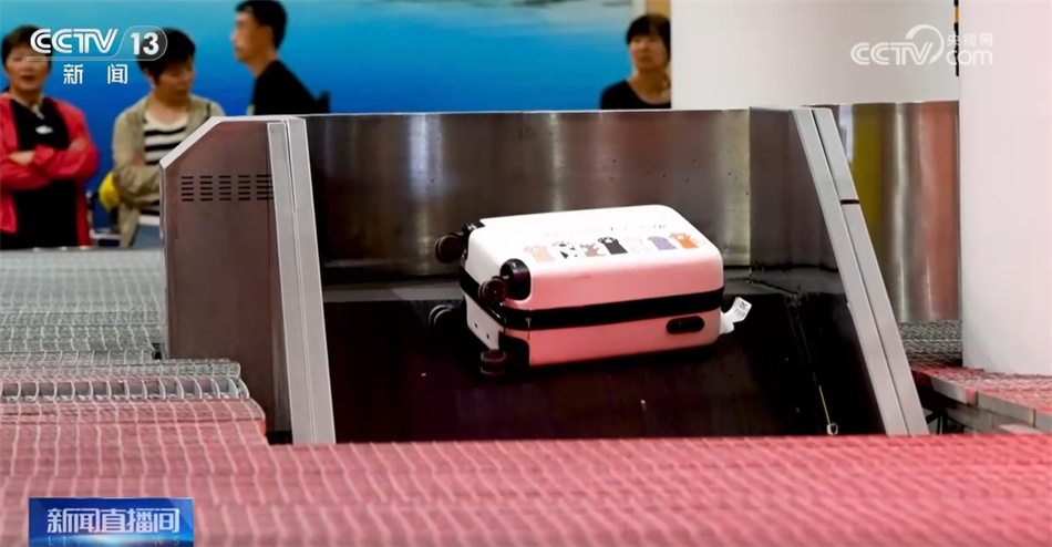 有这样一群人在烈日中争分夺秒工作 只为旅客早点回家