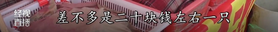 降价了！武汉开启秋季“蟹战”，这时候吃最划算……