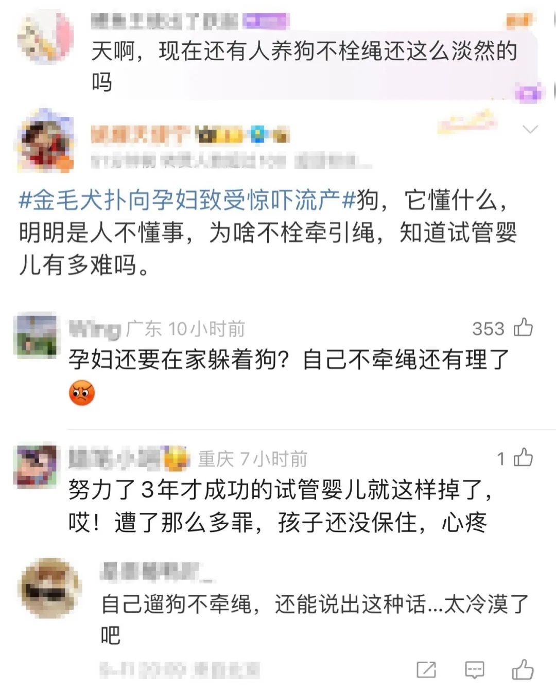金毛扑向孕妇致其受惊吓流产！网友：犬主的回应太冷漠！