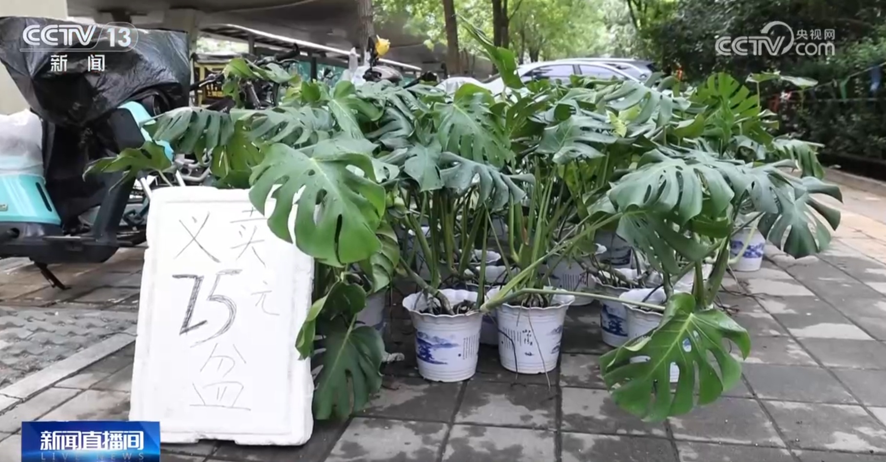 未曾谋面善意相传 一张小纸条引发的故事印证“人间有真情”