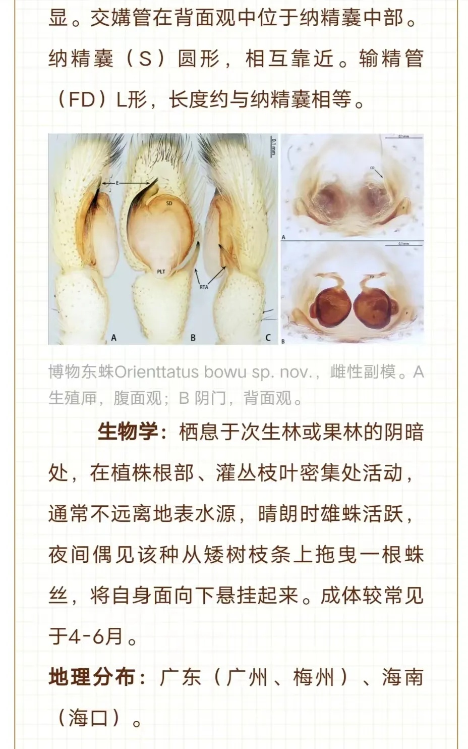 广州市区发现新物种！“只因多看了你一眼”