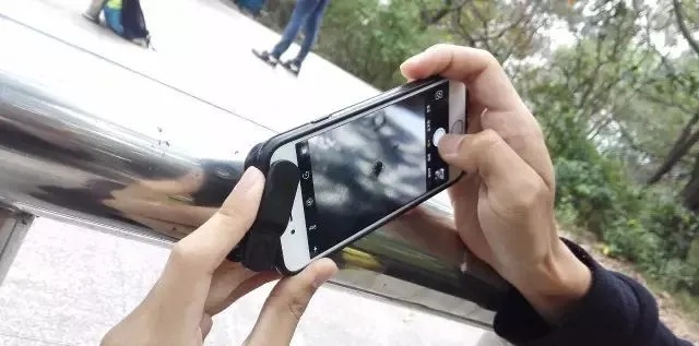 广州市区发现新物种！“只因多看了你一眼”