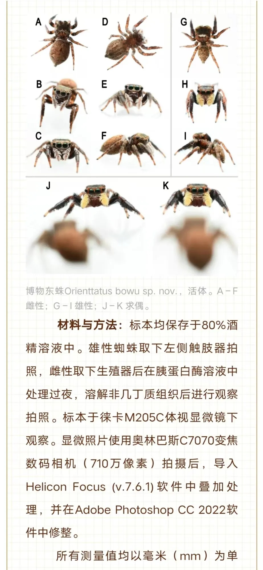 广州市区发现新物种！“只因多看了你一眼”